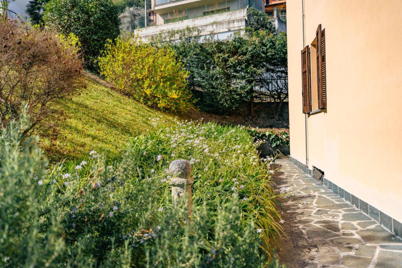Mary Rose Apartments Oliveto Lario Exterior photo